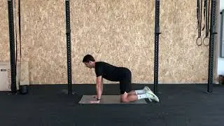 Quadruped pelvic tilt - Ante/retroversi&oacute;n de pelvis en cuadrupedia