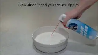 Non-Newtonian Fluid - Cornstarch and water