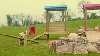 Sic&iacute;n S&aacute;sta Born & Raised On Our Farms