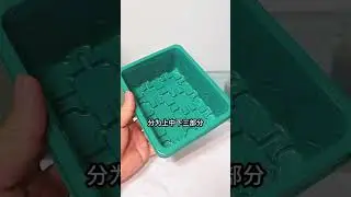 扦插育苗就用专用扦插盒，它相当于一个小型的温室保温又保湿，成活率特别的高#育苗盒#扦插#好物推荐🔥