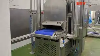 Formcook Combi 625 Contact Oven &ndash; Dual-Zone Cooking with Steam & Air | Industrial Food Oven