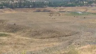 Copco, Klamath restoration 25 Aug 2025