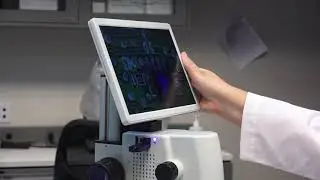Aven 26700-140 MicroVue Digital Microscope