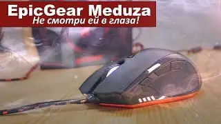 Необычная мышь с двумя сенсорами - EpicGear Meduza