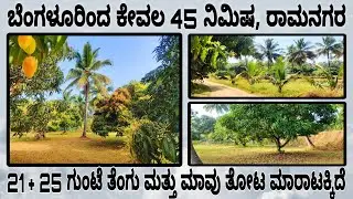 🔴SOLD🔴21+25 Gunta, 1.06 Acre Coconut & Mango Farm Land Sale in Ramanagara, Near Bidadi & Bengaluru.