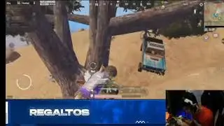Regaltos 1v3 OR | VE scrims | Mavi scout appreciate rega👊🔥