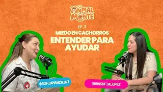 Miedo en Cachorros: causas y cómo ayudar | Episodio 2 🐶