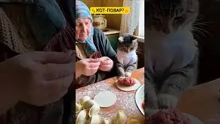 Grandma and the Cat are making dumplings! 🥟 #viral #funny #dumplings #humor