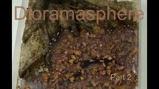 Fall Raindrops on Pond Part-2