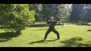 Tai-CHi i QiGong:  Chan Si Gong Eight Pieces of Brocade / BaDuanJin / 八段锦 2021-07-10