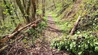 walk with me /Obernhof  /Germany