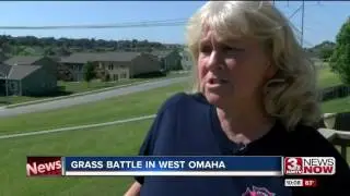 Grass battle in West Omaha