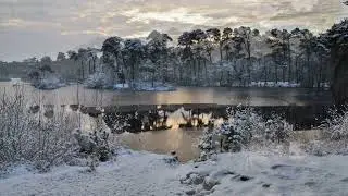 Winter in de Oisterwijkse Bossen en Vennen