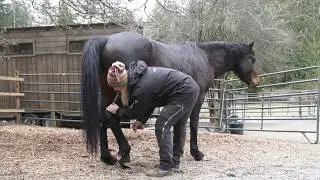 Working with Hooves