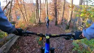 Dartmoor Hornet Trailrunde - Autumn Vibes