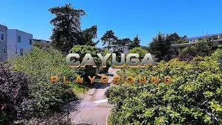 4k Drone Footage 