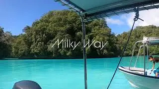 Jelly fish lake (Rock Island tour )