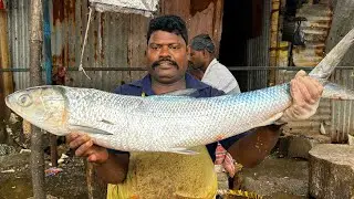 KASIMEDU 🔥 SPEED SELVAM | AALATHI FISH 🐟 CUTTING | N M FISH CUTTING 🔪