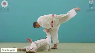 Les prises de judo (607)