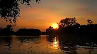 8 Hrs Of Soothing Nature Sounds | Relax & Fall Asleep Naturally | Fall Into Peaceful Sleep Instantly