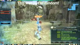 Vindictus Glitch/Bug