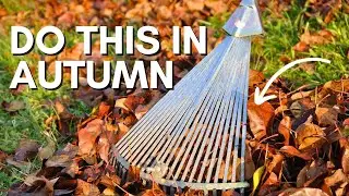 Garden jobs for early Autumn - Herb, Allotment and Vegetable Gardening For Beginners UK