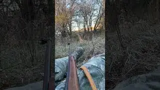 Nebraska rifle evening hunt! #deerhunting #hunting #deer #nebraska #wildlife #nature