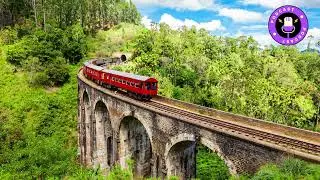 Wonders of Sri Lanka : A Guide to the Land of Ancient Ruins and Golden Beaches #traveldocumentary