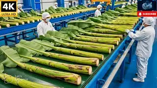 You've Never Seen a Factory Like This Before