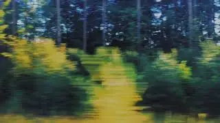 tim&oacute; - Sense 6