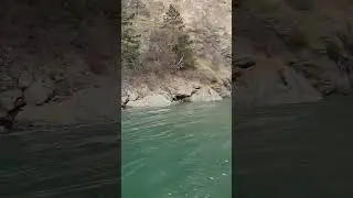 Tidal Current at Deception pass