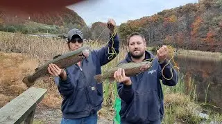 Tagged West Virginia trout caught monster trout 2025 #trout #troutfishing #fishing #westvirginia 