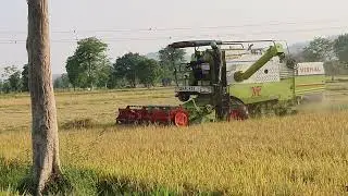 Vishal 435 combine harvester 14 ft cutter bar