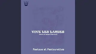 Polka piqu&eacute;e