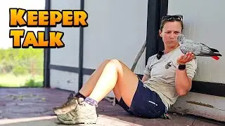 Parrot Training w/ Lindsay & Sruti | Keeper Talk