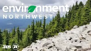 Our changing world | A 2023 Environment Northwest special