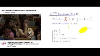 Luigi Preziosi: Multi-level mathematical models for cell migration in dense fibrous environments