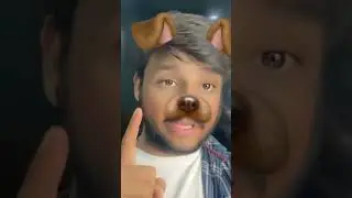 Kutte wala filter ❤️ #youtubeshorts #shorts #dogs #snapchat #filter
