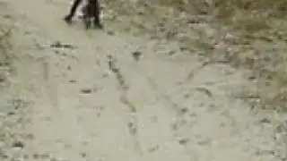 Die K&uuml;mmritzer Crossstrecke