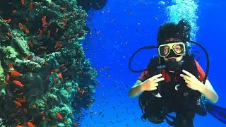 Diving nel Mar Rosso
