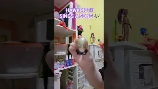 BALDY SINGS 🎶 👍 #miraculous #hawkmoth #song #funny||Buttons9474