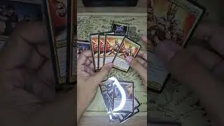 MONTANDO DECK BUDGET