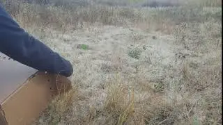 Lights Out Cleveland - Yellow Rail release