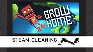 Steam Cleaning - Grow Home