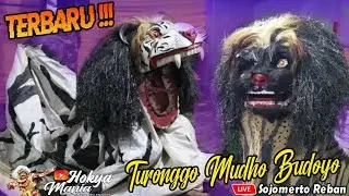 BARONGAN TMB TURONGGO MUDHO BUDOYO | Live Sojomerto - Reban