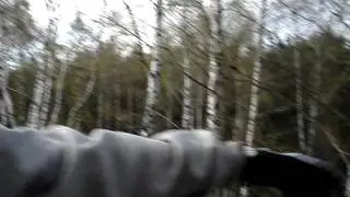 MOV01353