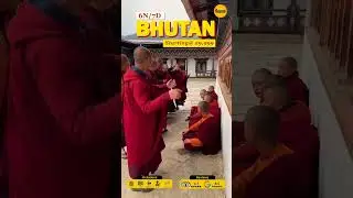 Bhutan at ₹29,999 &ndash; 6 Nights of Mountains & Magic! 🏔️💛