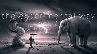 The Experimental Way Volume 2 - Dark Ambient Experimental Music Mix - Marcus Palt