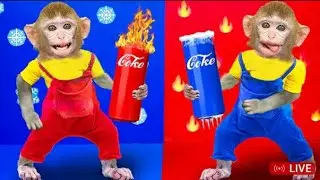 Bandar ki supar power🥺😃🥺🐒🐒!! Billi mausi se badla! cartoon video! moral stories (2022)!(viral video)