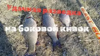 Удачная разведка нового водоёма. Сазан на удочку с боковым кивком. #сазан, #wildcarp, #боковойкивок